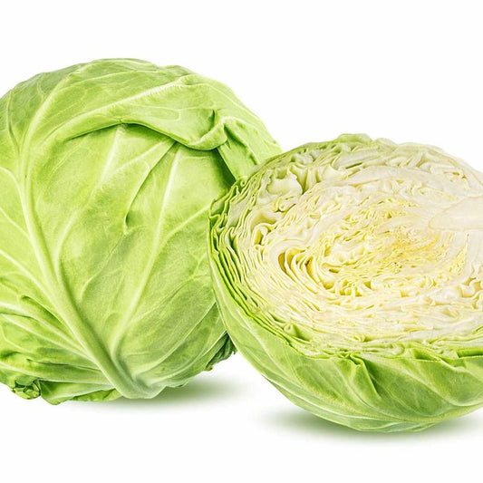Cabbage