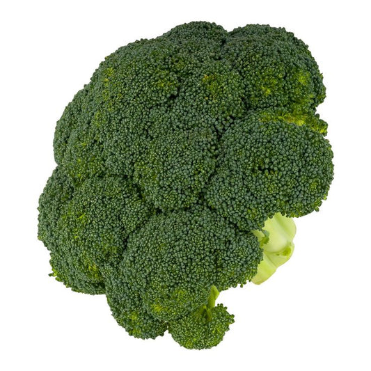 Broccoli