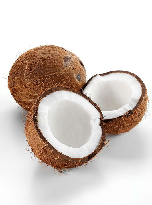 Coconut