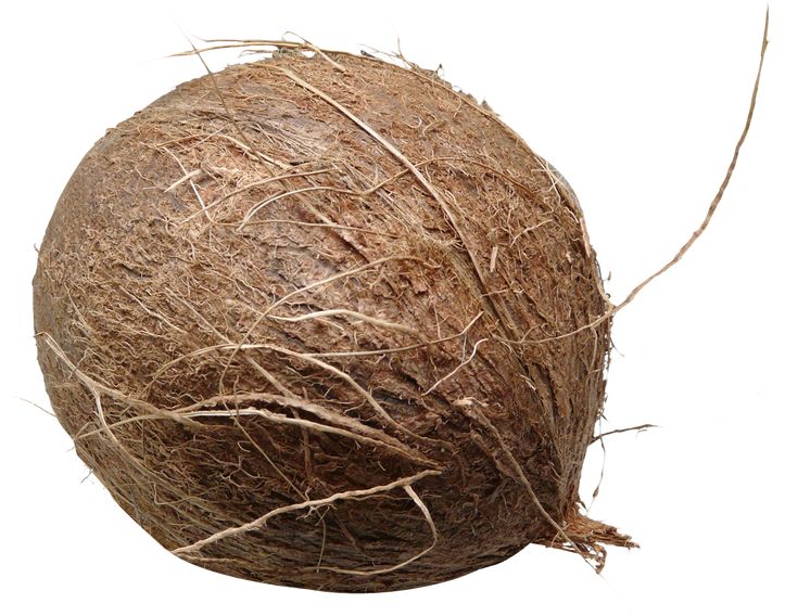 Coconut