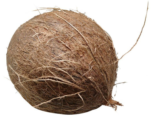 Coconut