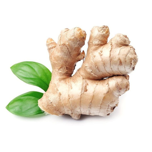 Ginger