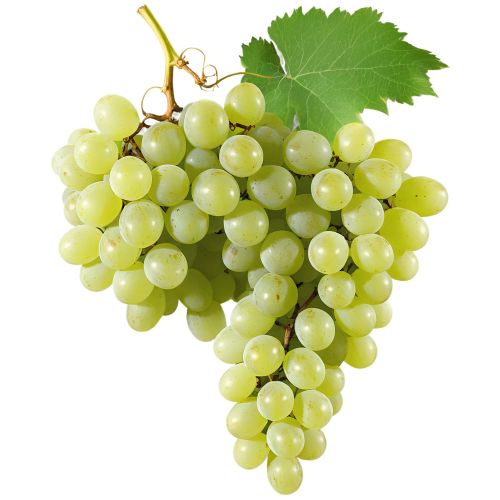 Green grapes