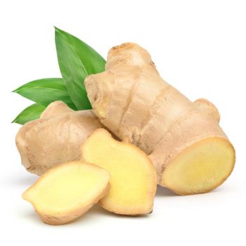 Ginger