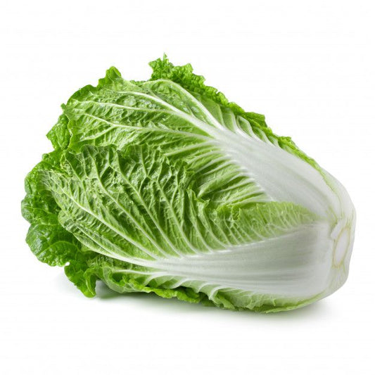 Napa Cabbage