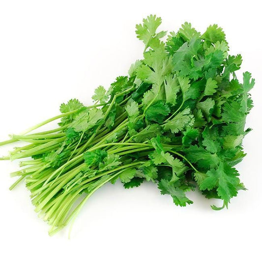Coriander