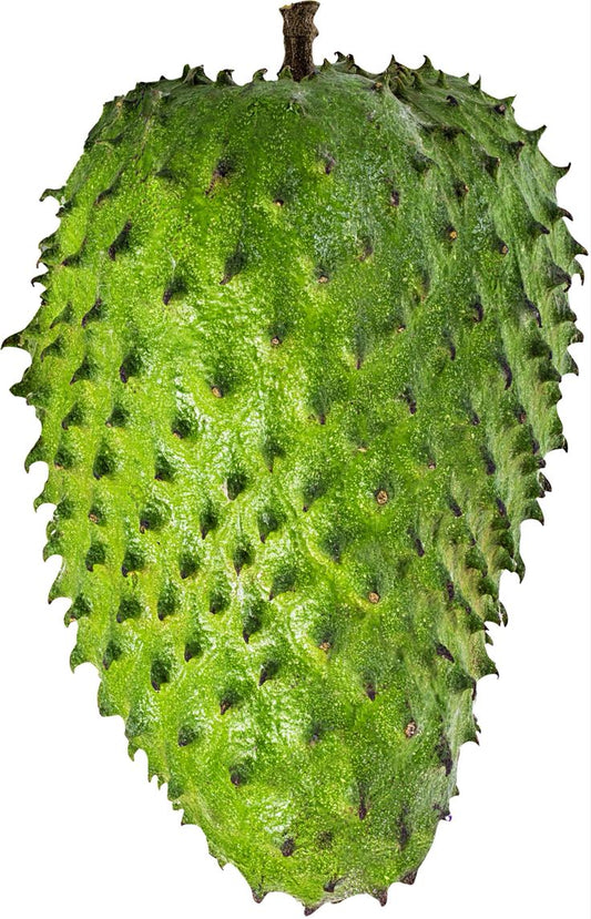Soursop