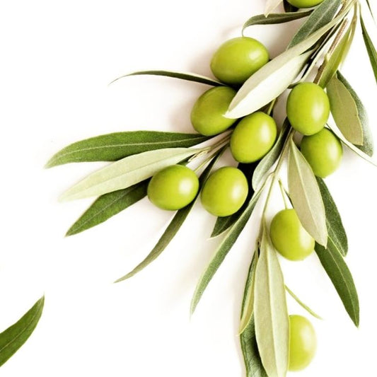 Olives