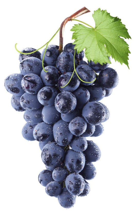Grapes