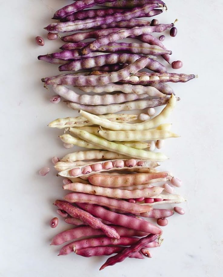 Fresh beans