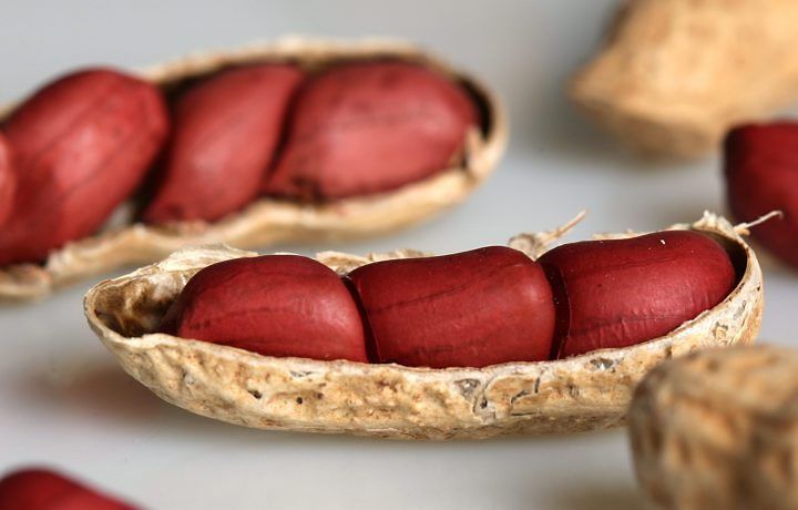 Ground nuts