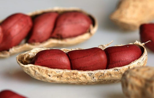 Ground nuts