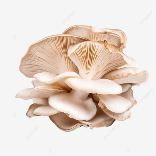 Mushrooms