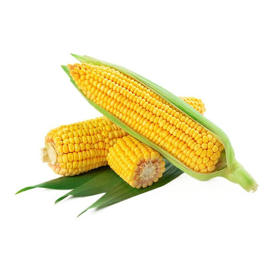 Maize