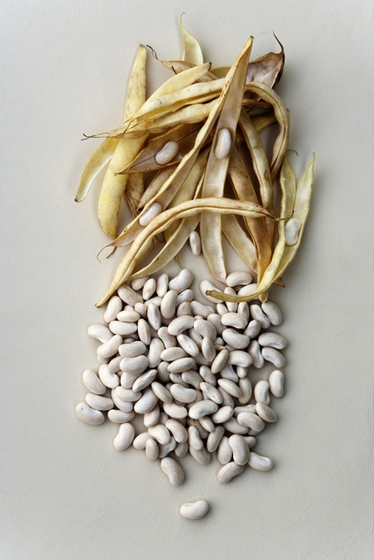 Fresh beans