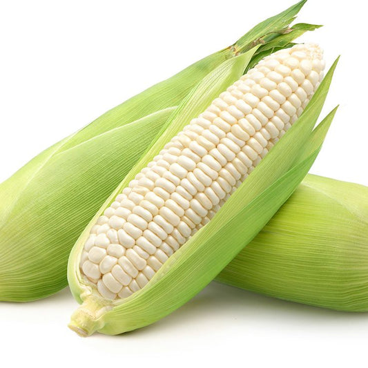 Maize