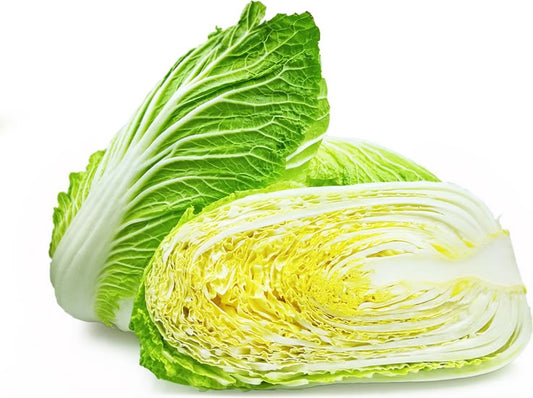 Napa Cabbage