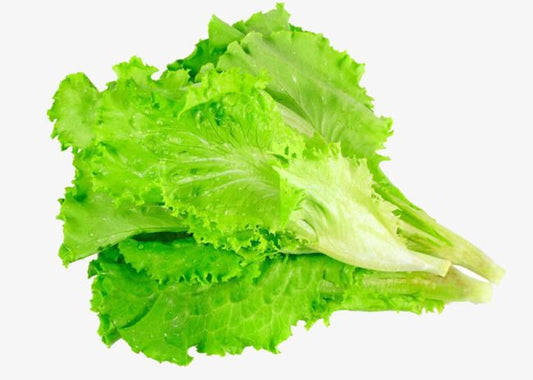 Lettuce
