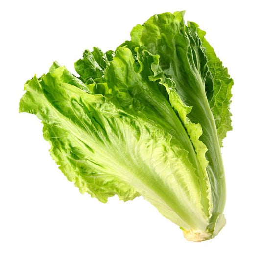 Lettuce