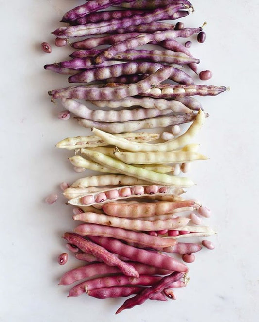 Fresh beans